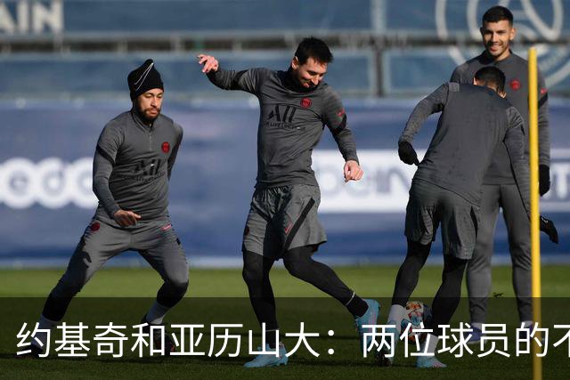 约基奇和亚历山大：两位球员的不同比赛特点分析